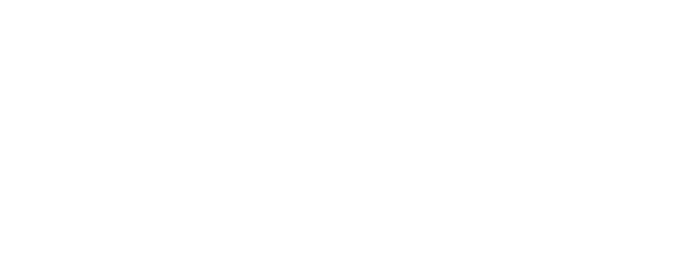 Sponsor- og Eventforeningen